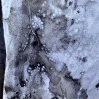 White Stag L Ecoprinted Longsleeved Tee