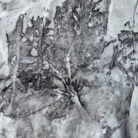 Universal Thread XS Ecoprinted T-Shirt